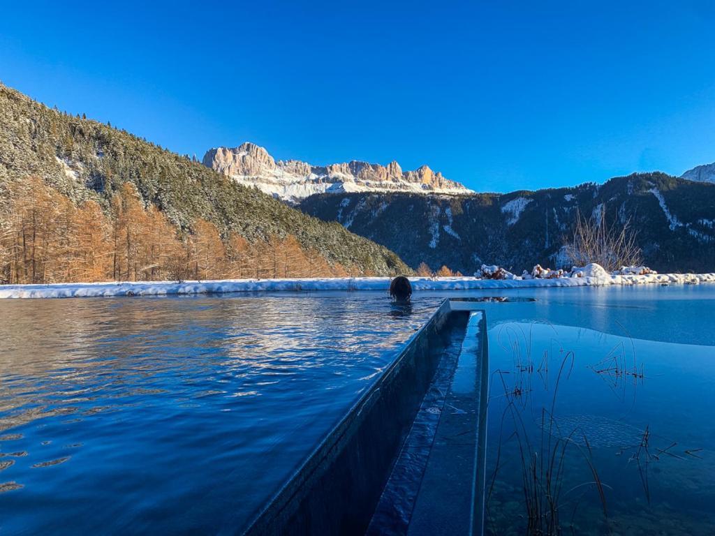 Ansitz Velseck-Residence Hotel Тірес Екстер'єр фото